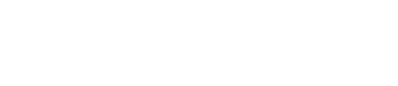 Brankasin